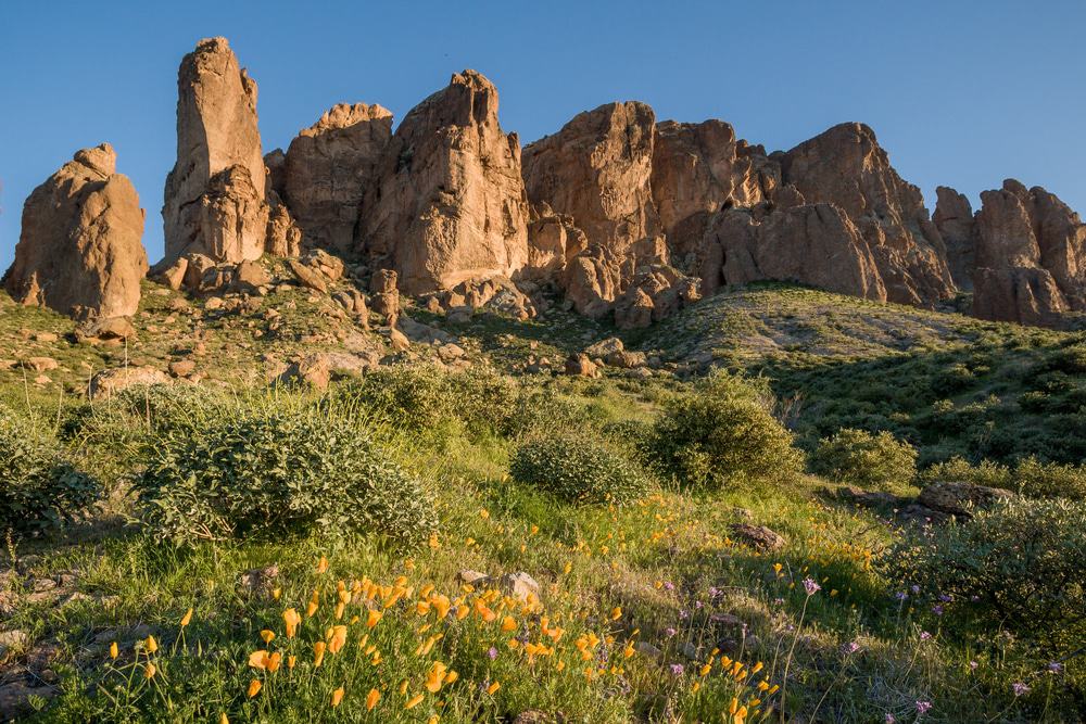 Lost Dutchman State Park