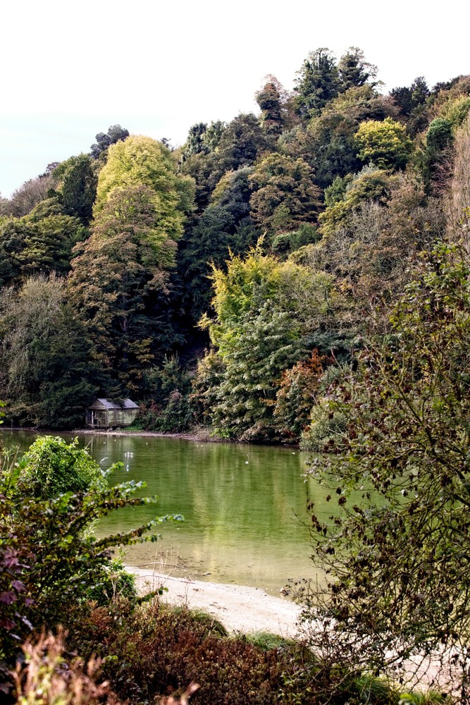 Swanbourne Lake