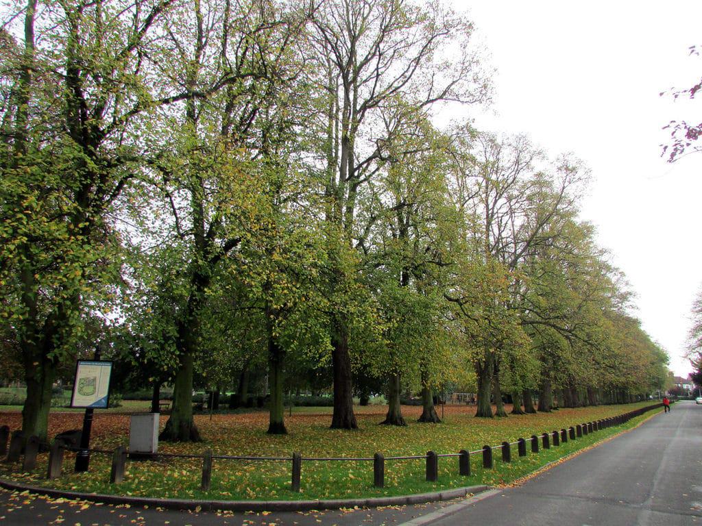 People's Park