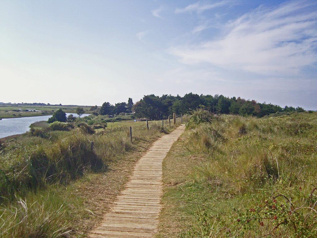 Norfolk Wildlife Trust