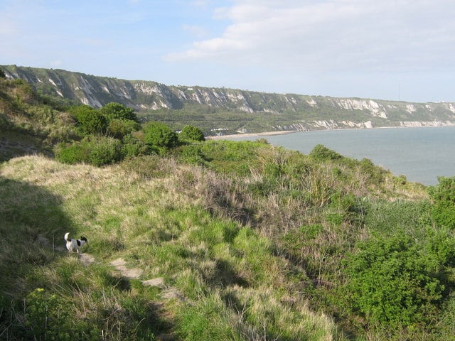 East Cliff and Warren Country Park