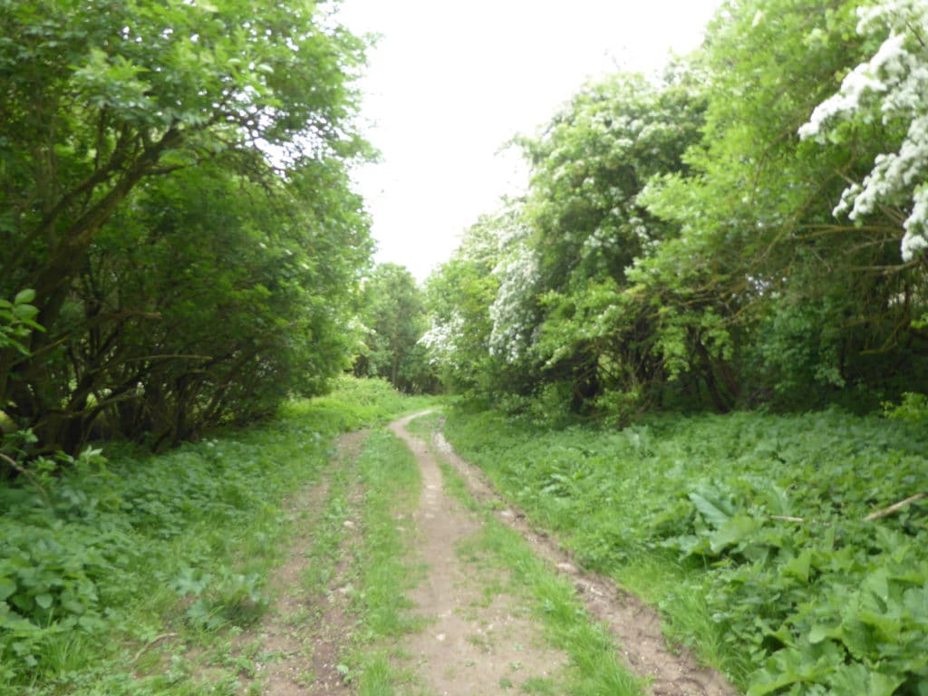 Ringstead Downs