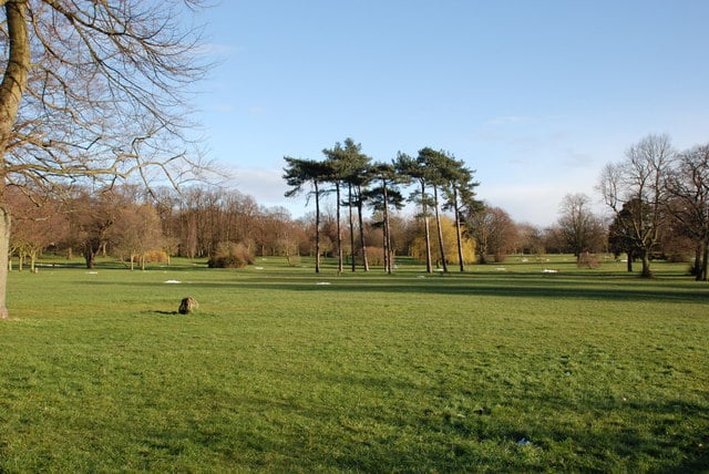 Weelsby Woods