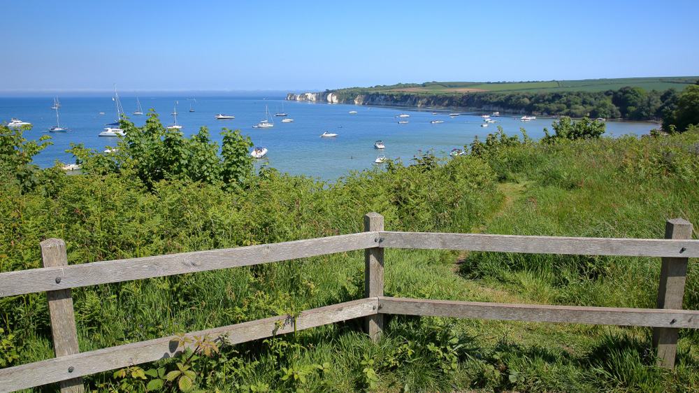  Studland Bay