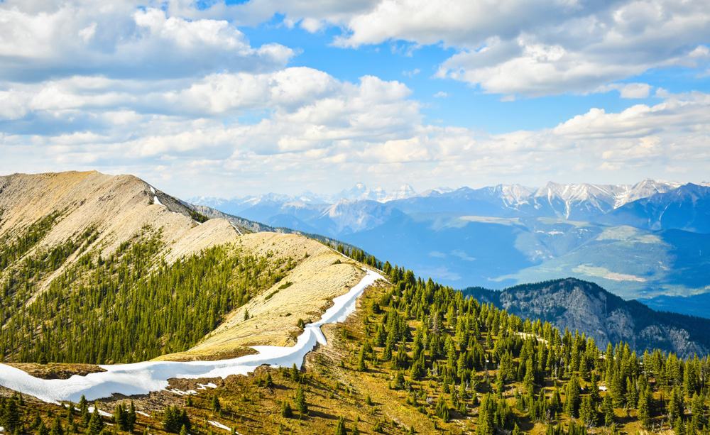 Pedley Pass near Invermere