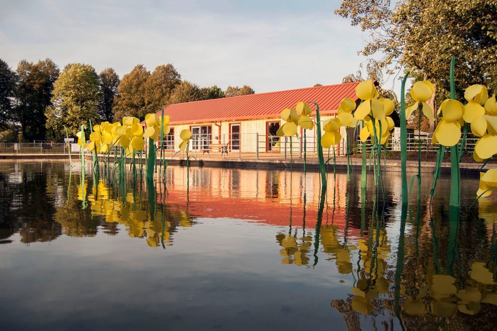 Wyndham Park