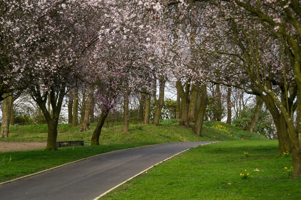 Queen's Park