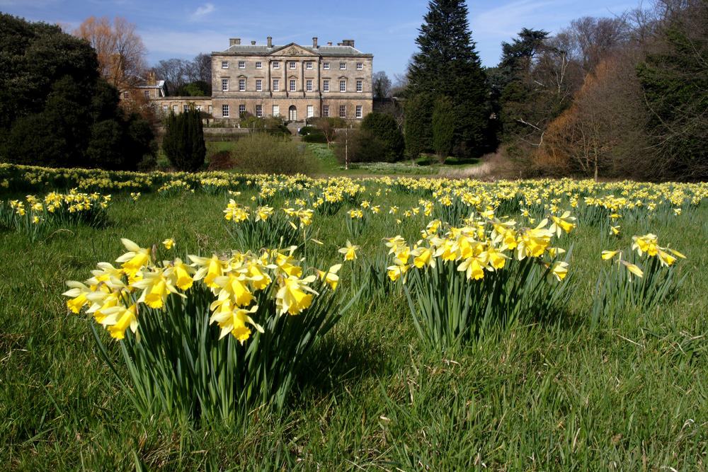 Howick Hall Gardens