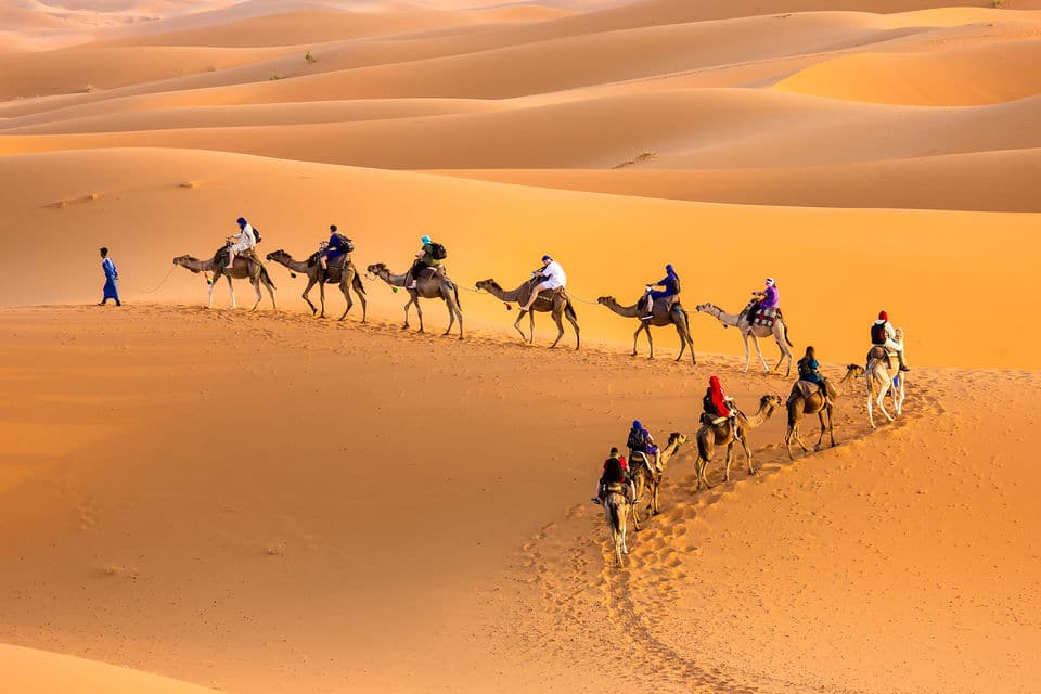 2-Day Sahara Desert Camel Trek