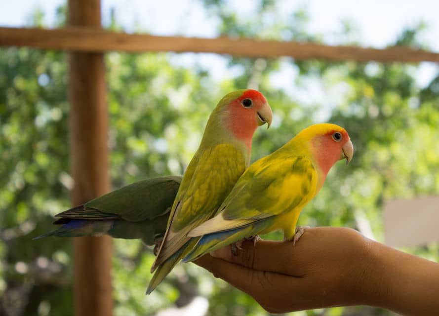 Cabo Animal Sanctuary Tour
