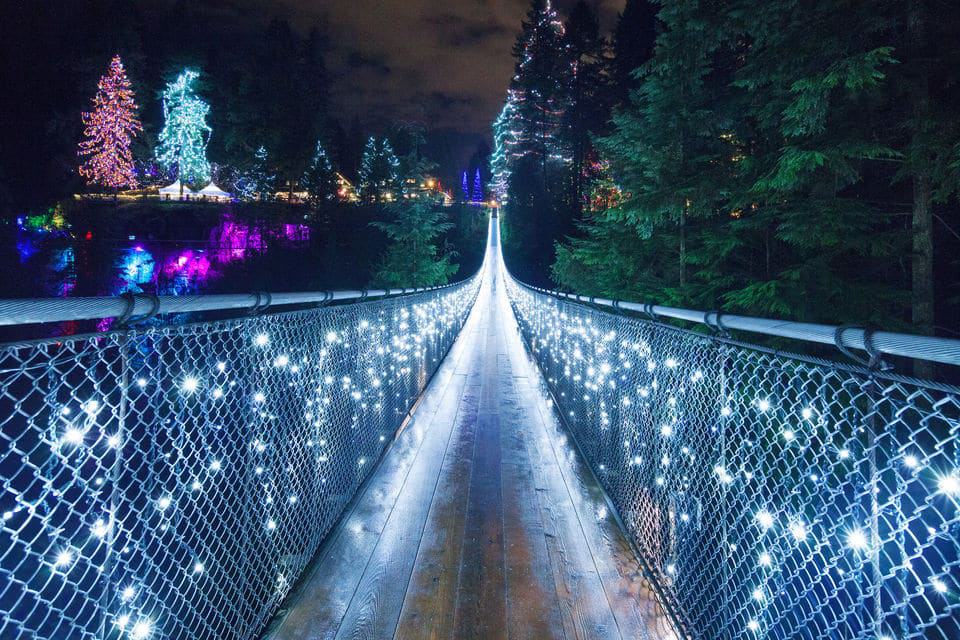 Vancouver and Capilano Suspension Bridge Canyon Lights