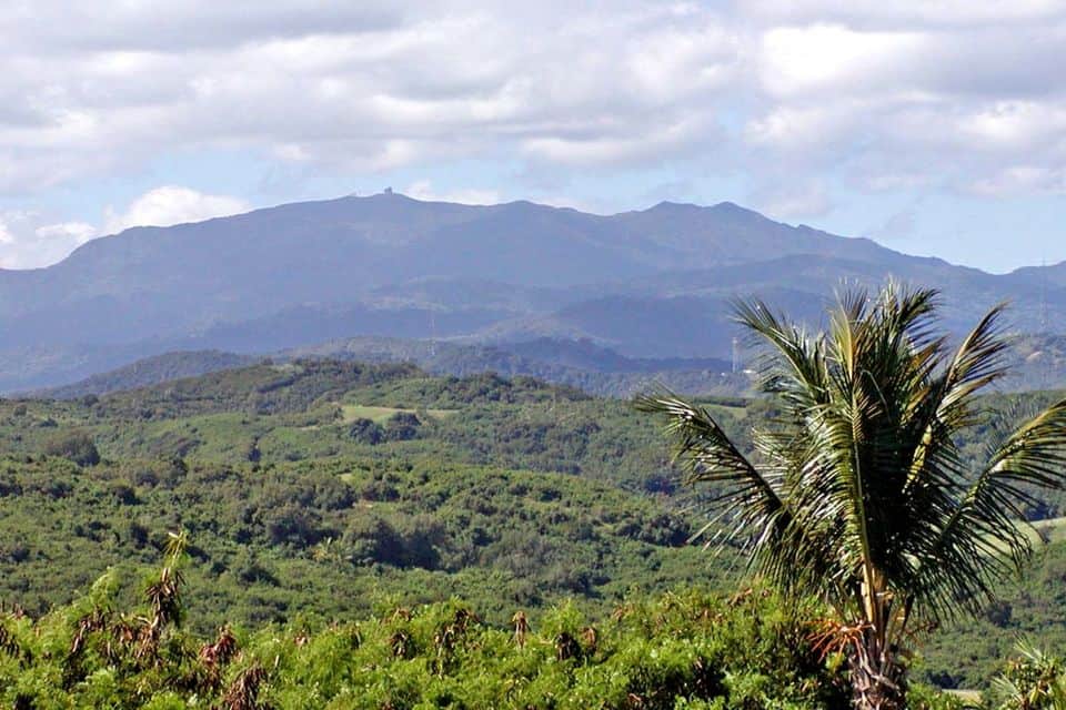 El Yunque Rainforest Half-Day Tour