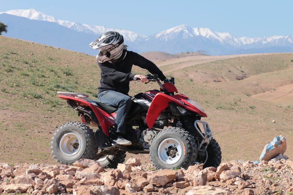 Half-Day Desert Quad & Dromedary Tour
