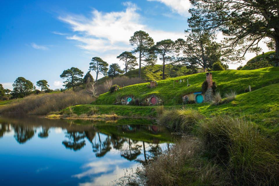 Hobbiton & Waitomo Caves