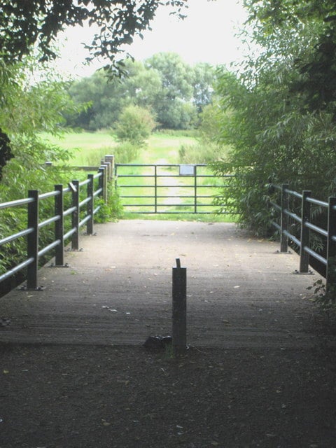 Hurst Water Meadow