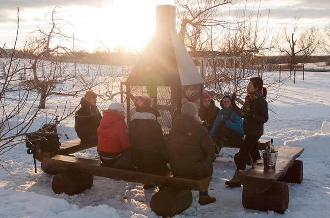 Ice Wine Tour From Montreal
