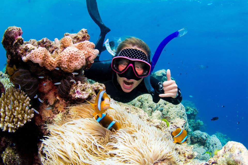 Luxury Great Barrier Reef Snorkeling Tour