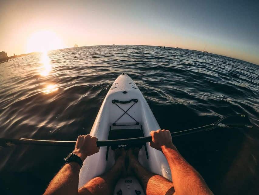 Marine Life Kayak Tour From The V&A Waterfront
