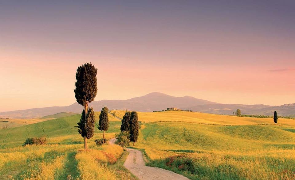 Montalcino, Pienza & Montepulciano Food Tour From Siena