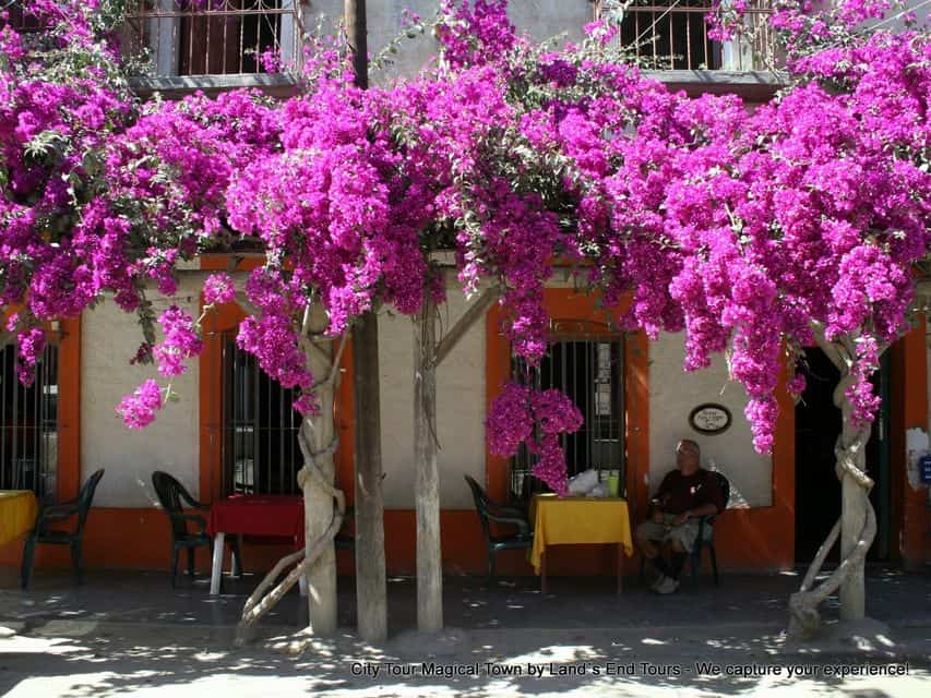 Photo Tour Of Todos Santos