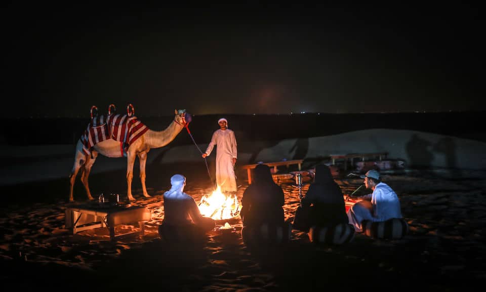 Red Dunes And Camel Safari With Overnight Camp