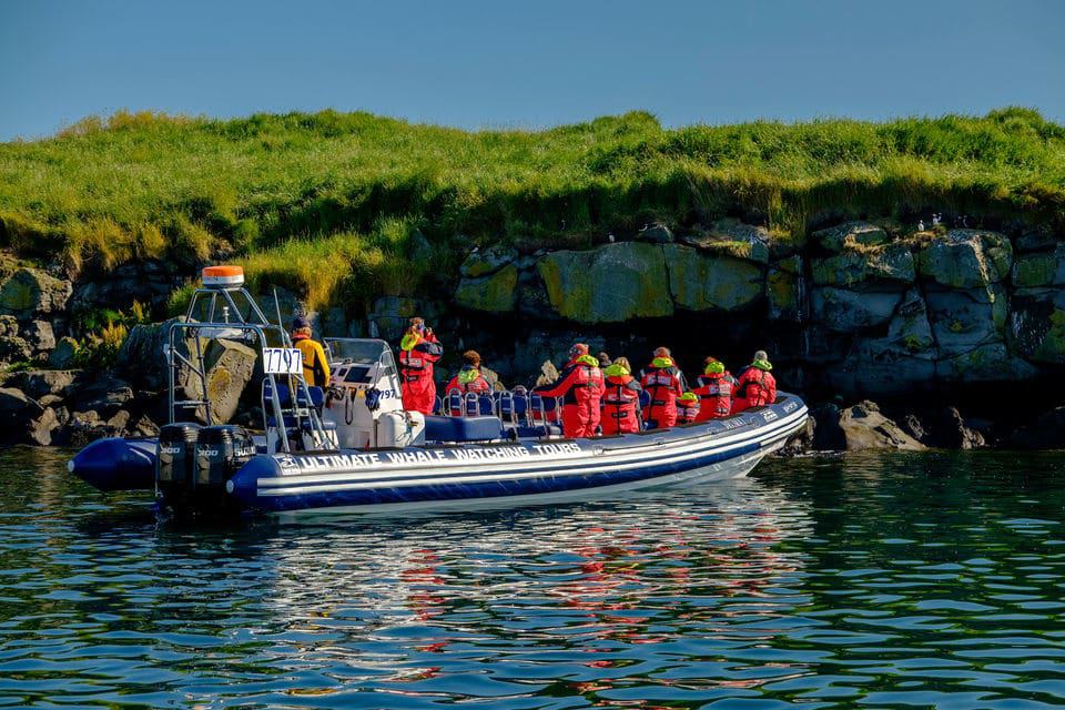 Small-Group Puffin Watching RIB Cruise From Reykjavik
