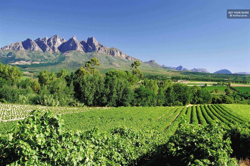 South African Winelands Full Day Tour & Tasting