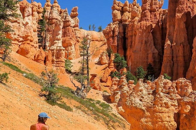 Southwest National Parks Camping And Hiking Tour