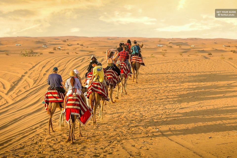 Sunset Camel Trek