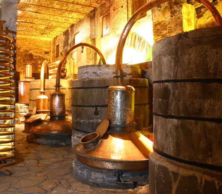 Tequila With Tasting