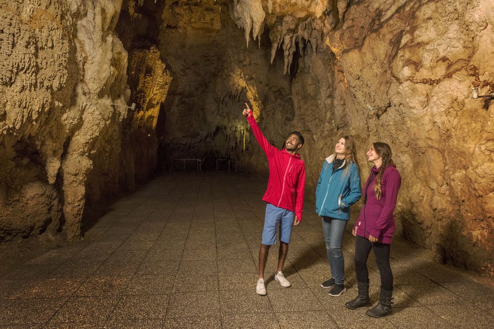 Waitomo Cave