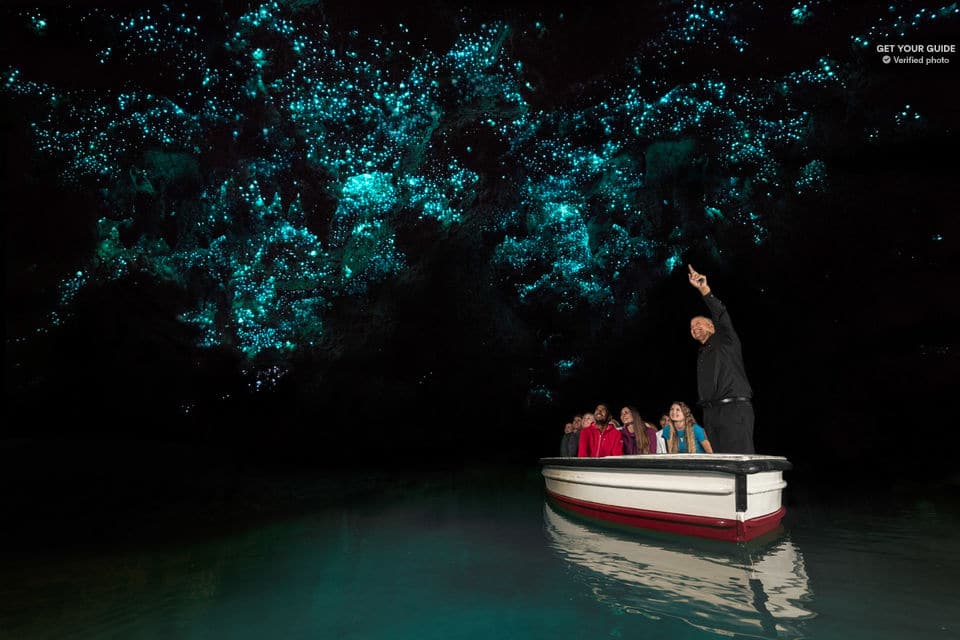 Waitomo Caves