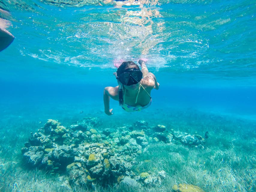 West Coast E-Bike Snorkeling Tour