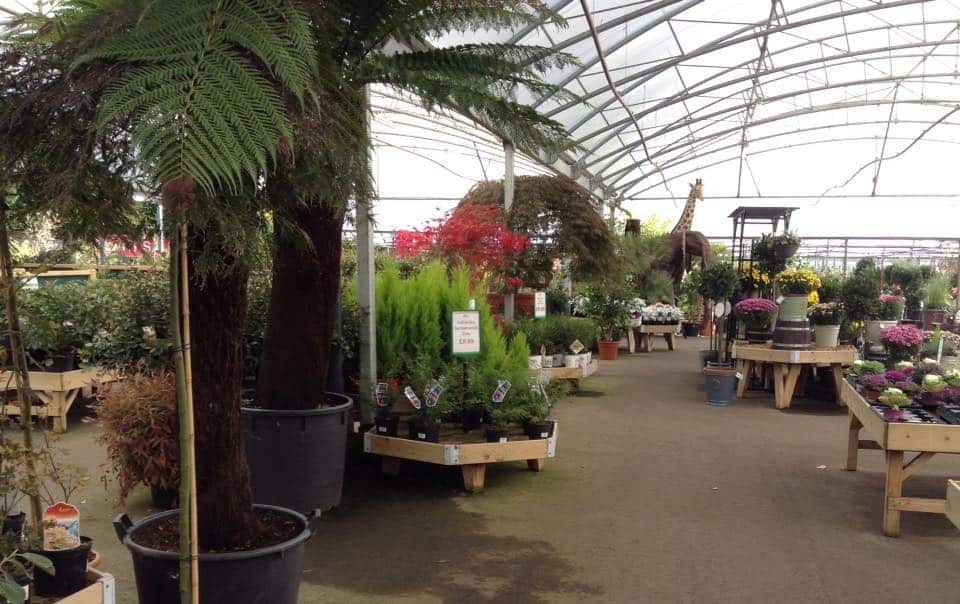 Woodthorpe Garden Centre