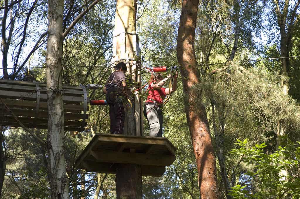 Go Ape Bracknell