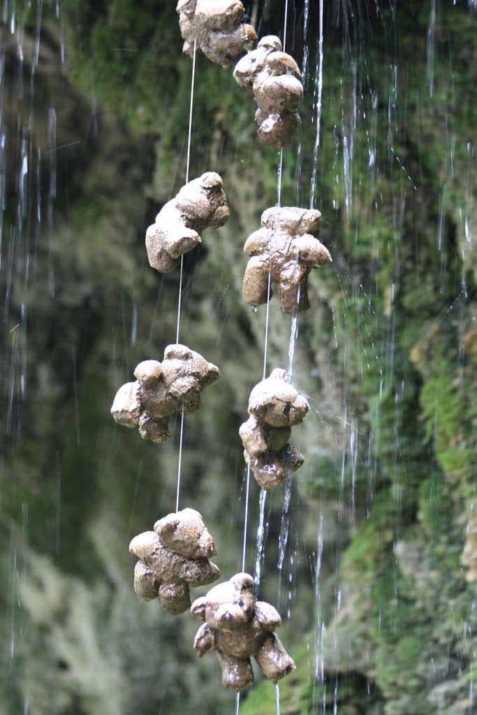 Mother Shipton's Cave