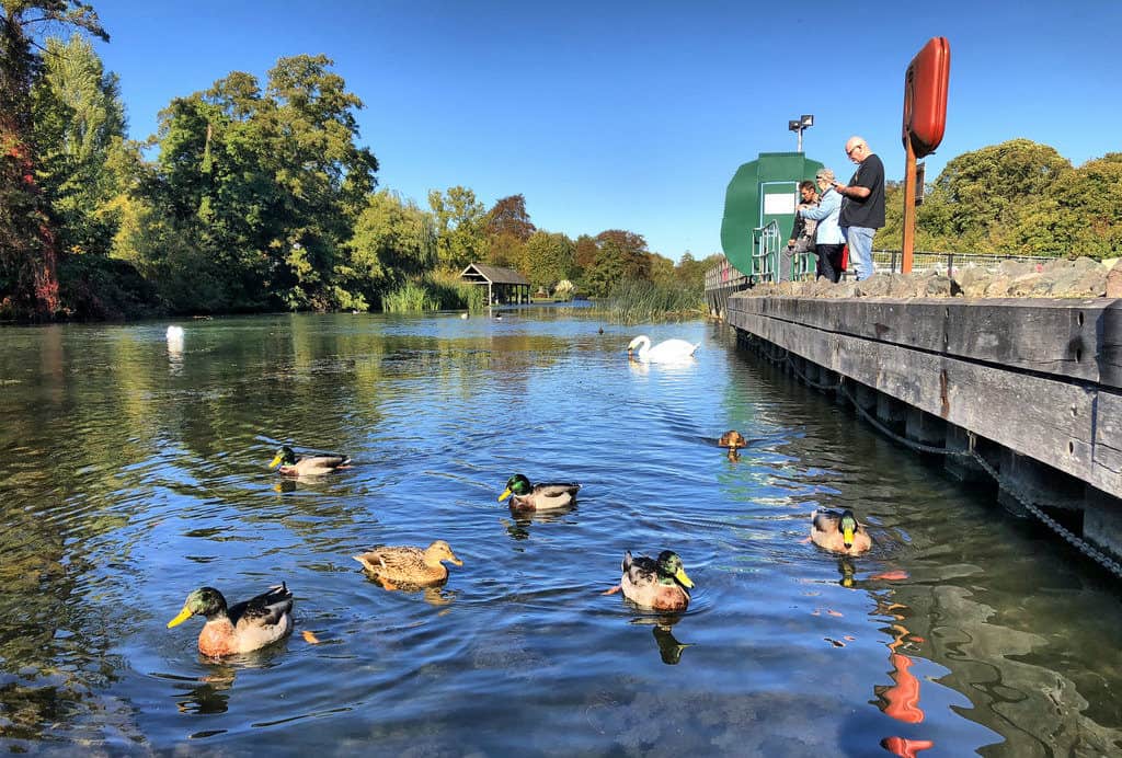 Ray Mill Island
