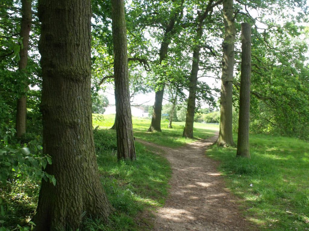 Tudor Grange Park