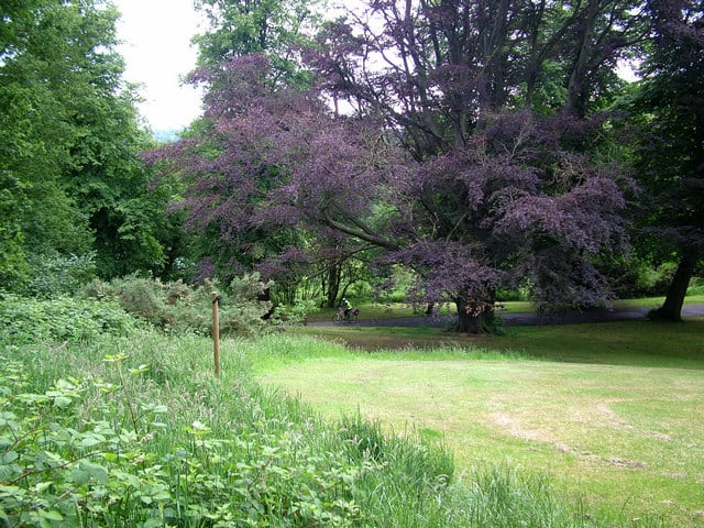 Holywells Park