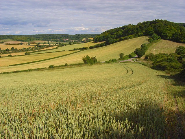 Chiltern Hills