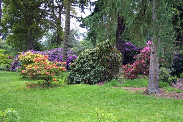 Harcourt Arboretum