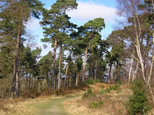 Caesar's Camp