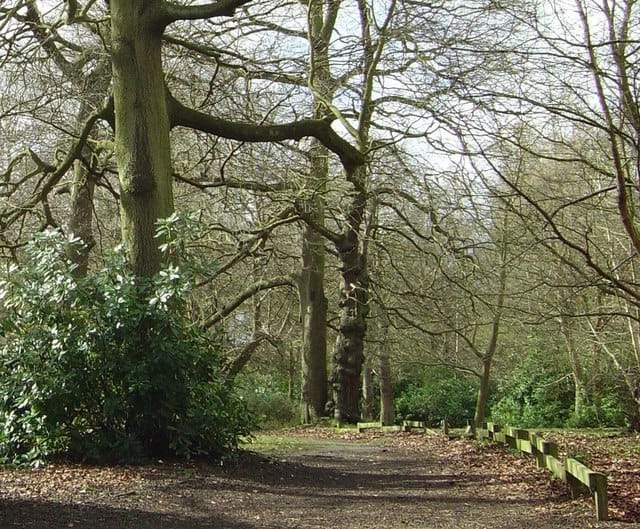 Queen Elizabeth Park