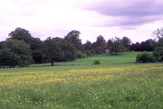  Stanlake Park Wine Estate