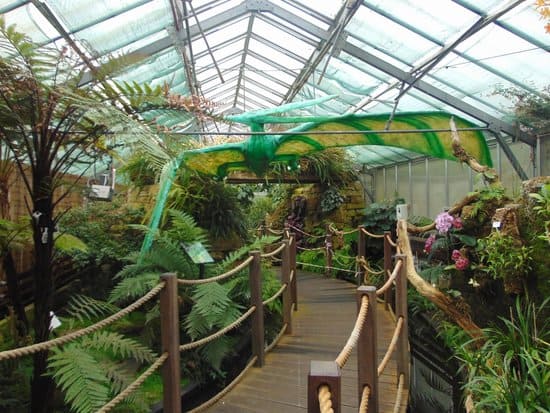 Manor Heath Jungle Experience