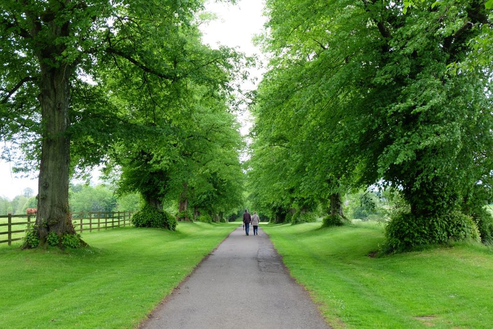 Cirencester Park
