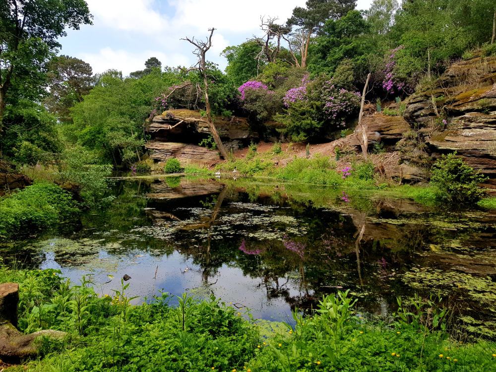 Plumpton Rocks