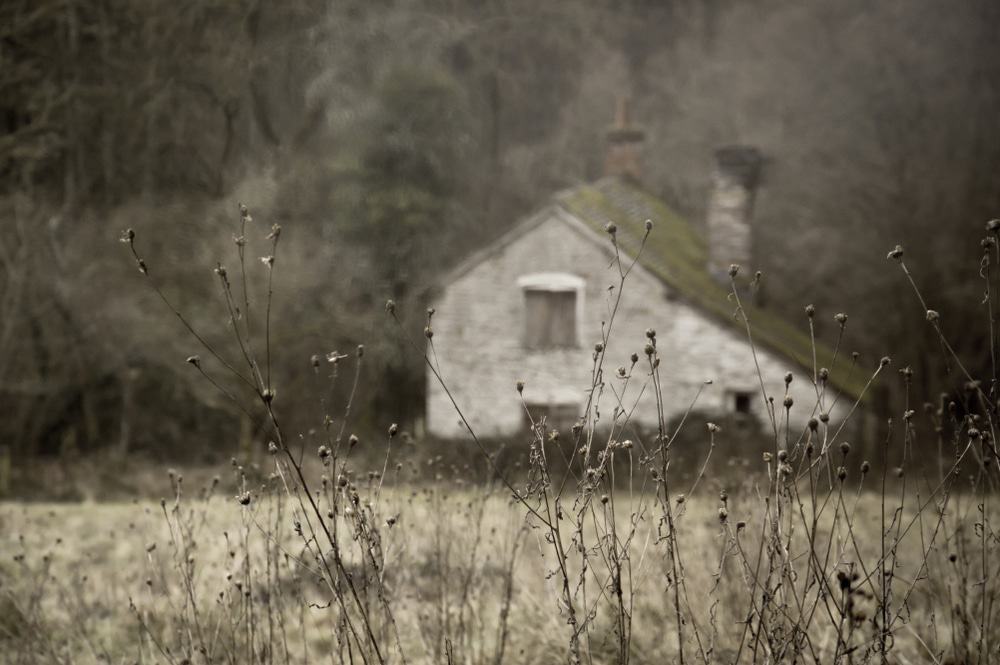 Knapp and Papermill Nature Reserve