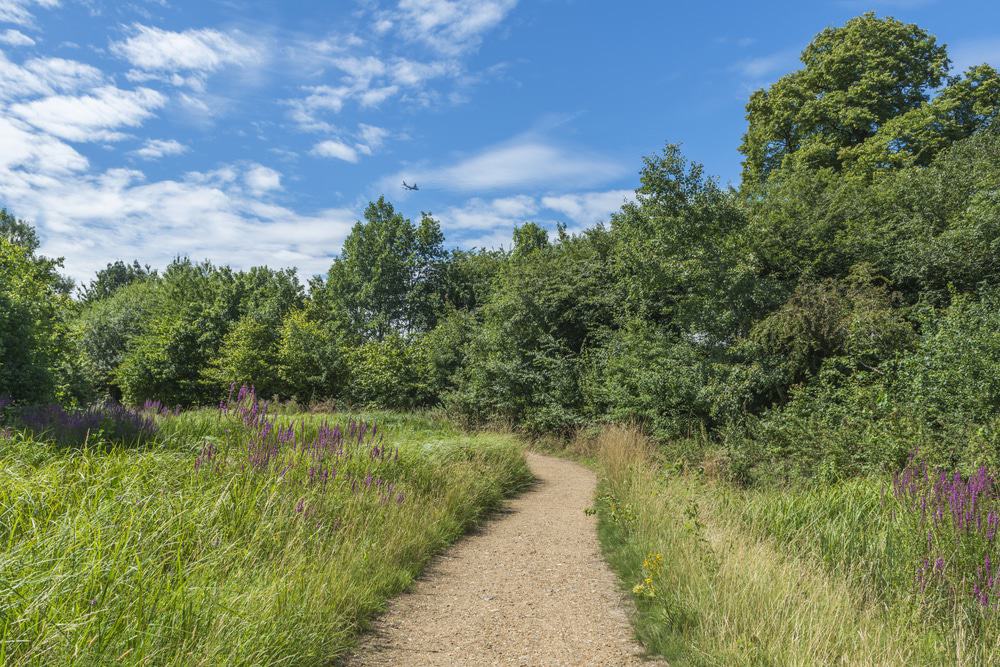 WWT London Wetland Centre