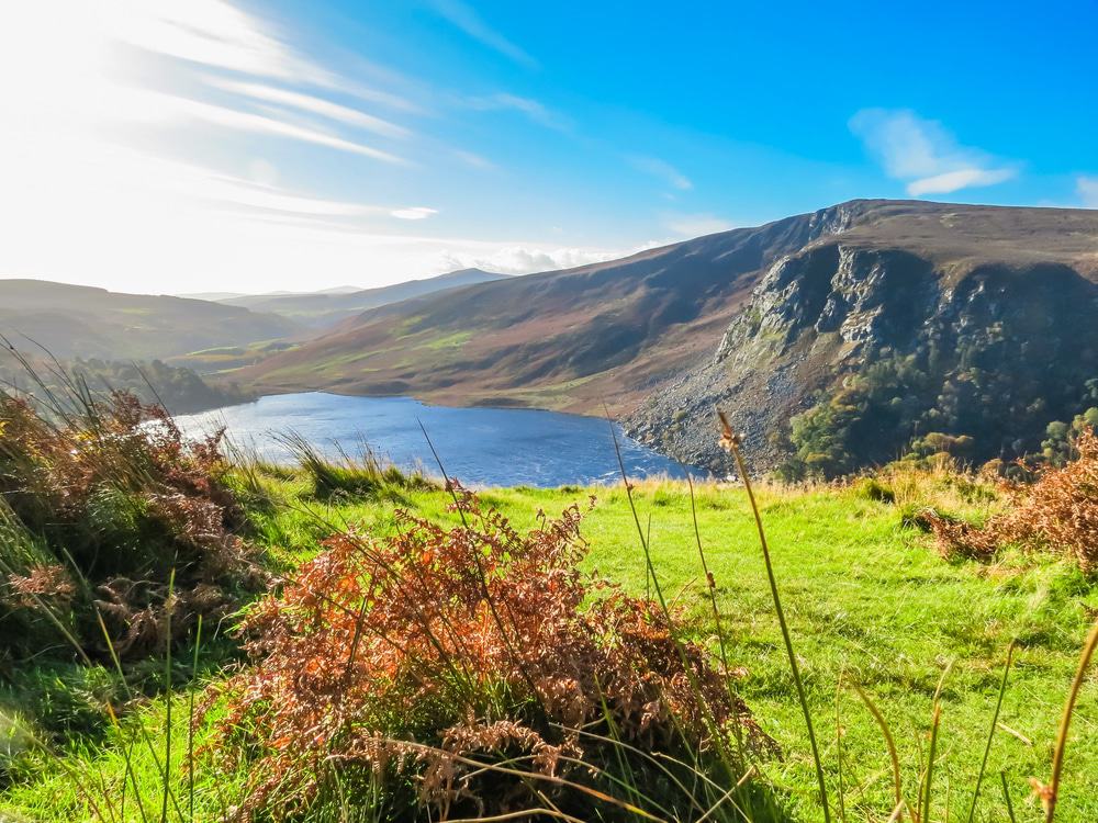 Wicklow Mountains National Park